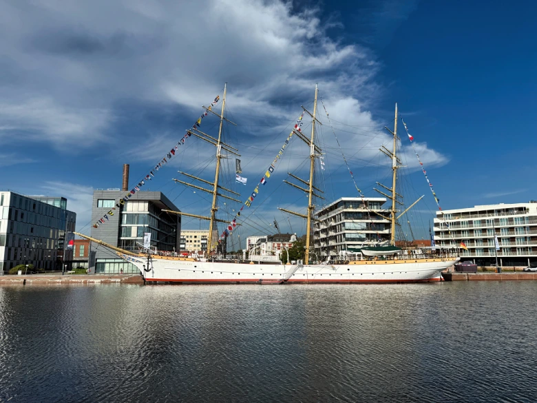 IMG_5909-780x585 (1)