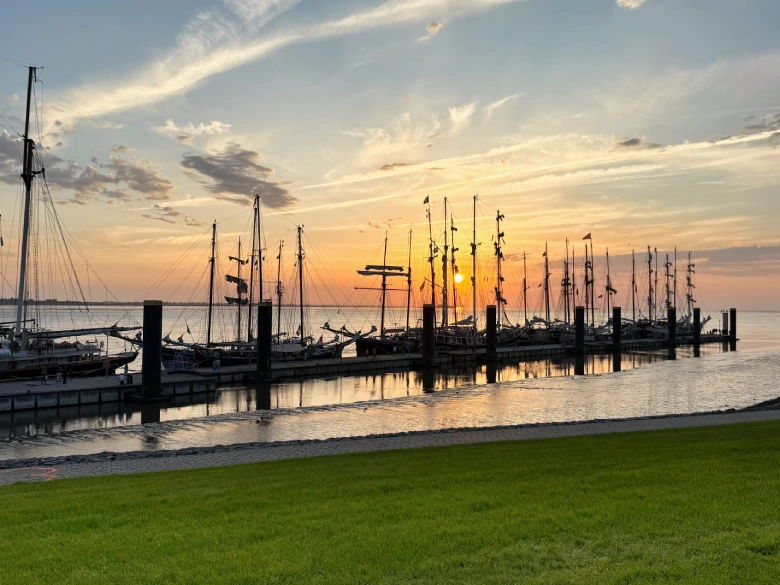 IMG_5909-780x585 (4)